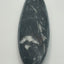 Orthoceras Fossil Spear