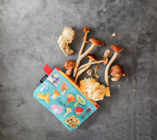 Mushroom Zipper Bag