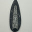 Orthoceras Fossil Spear