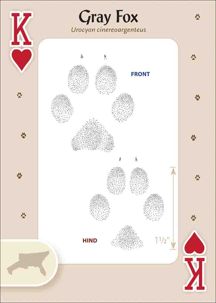 Animal Tracks of the Southeast & Gulf States Playing Cards