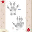 Animal Tracks of the Southeast & Gulf States Playing Cards