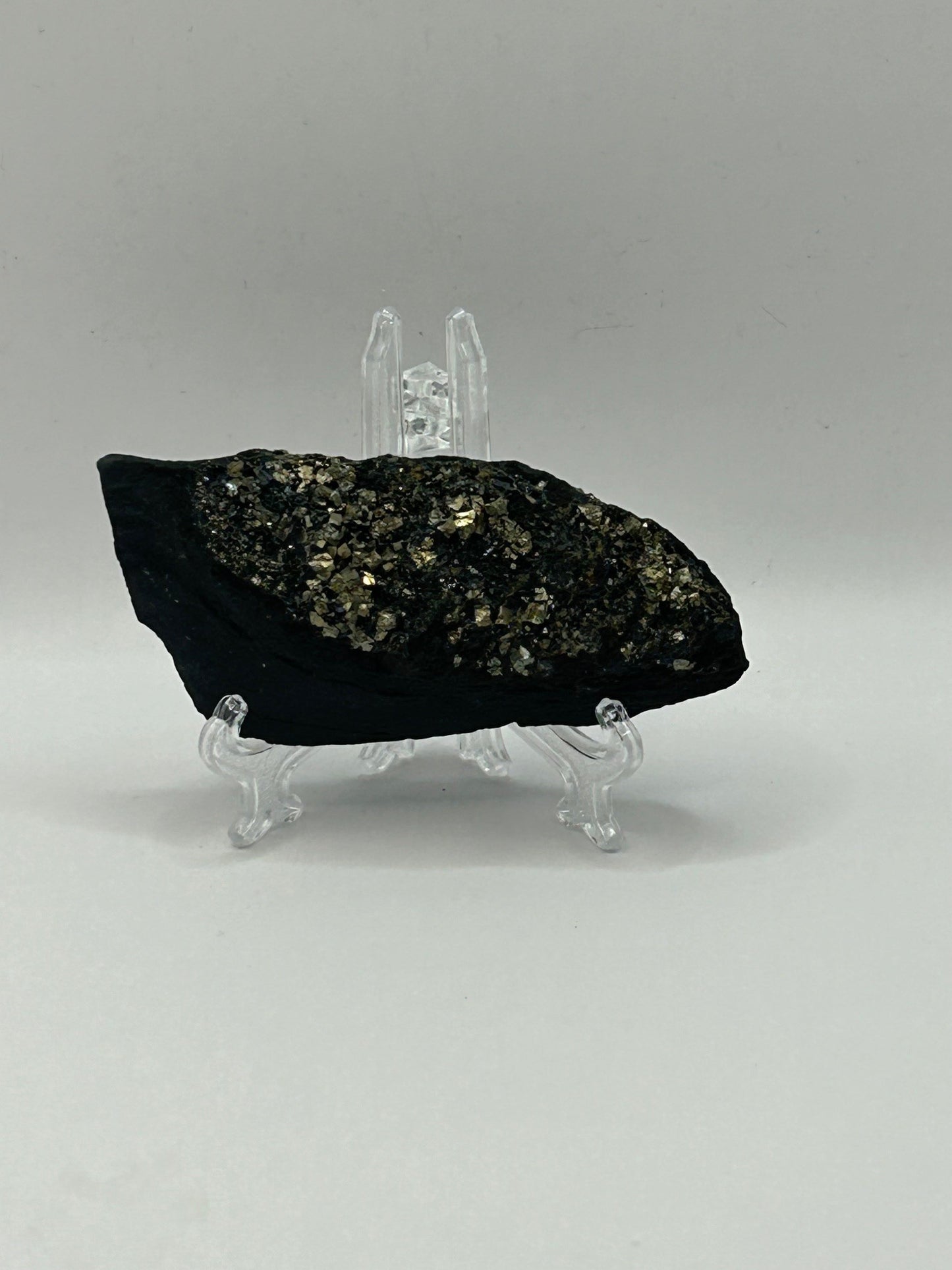 Pyrite on Shungite from Brazil