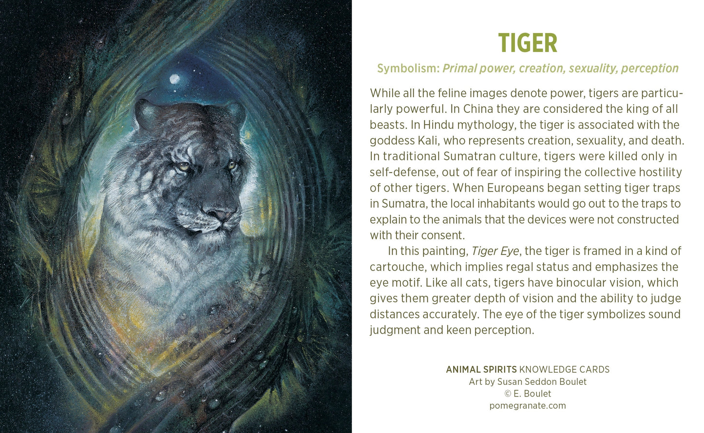 Animal Spirits Knowledge Cards