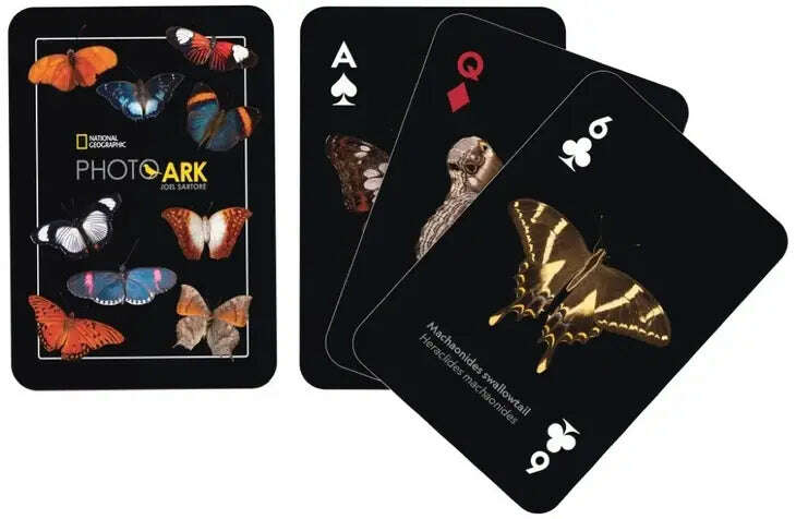 PlayingCardDecks.com-National Geographic Butterflies Playing Cards NYPC