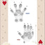 Animal Tracks of the Northeast Playing Cards