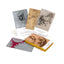 Da Vinci Enigma Tarot Kit - Deck & Book Red Feather