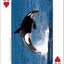Whales, Dolphins, and Marine Mammals Playing Cards