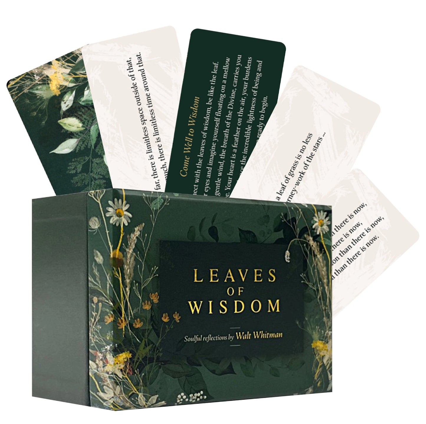Leaves of Wisdom Cards