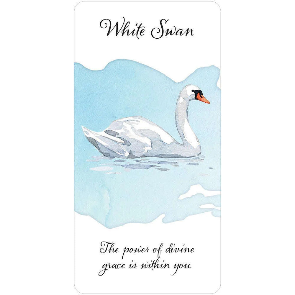 Divine Feather Messenger Deck & Book