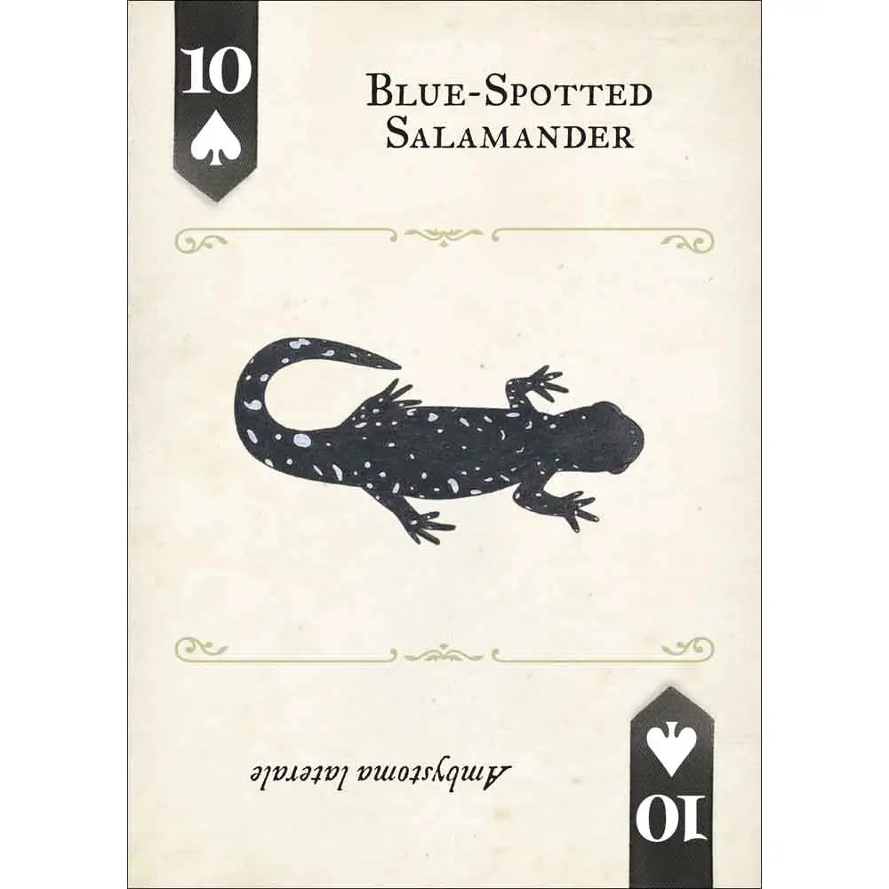 Reptiles & Amphibians Playing Cards