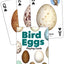 Bird Eggs Playing Cards