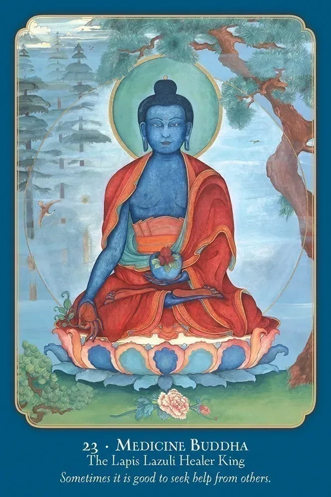 Buddha Wisdom, Shakti Power Deck & Guidebook USGS