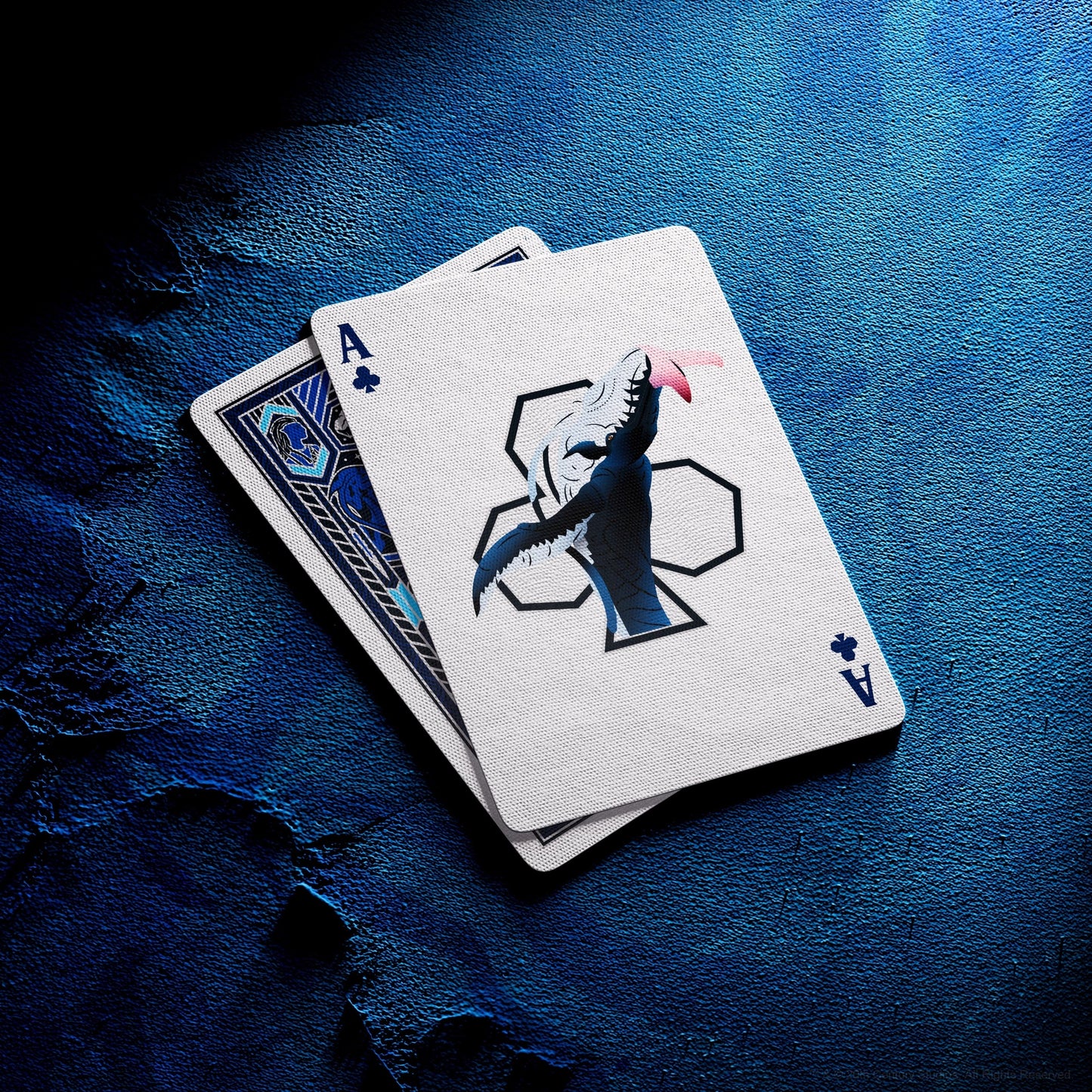 Avatar Playing Cards