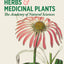 Herbs and Medicinal Plants Knowledge Cards