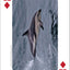 Whales, Dolphins, and Marine Mammals Playing Cards