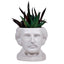 Edgar Allan Poe Mini Planter