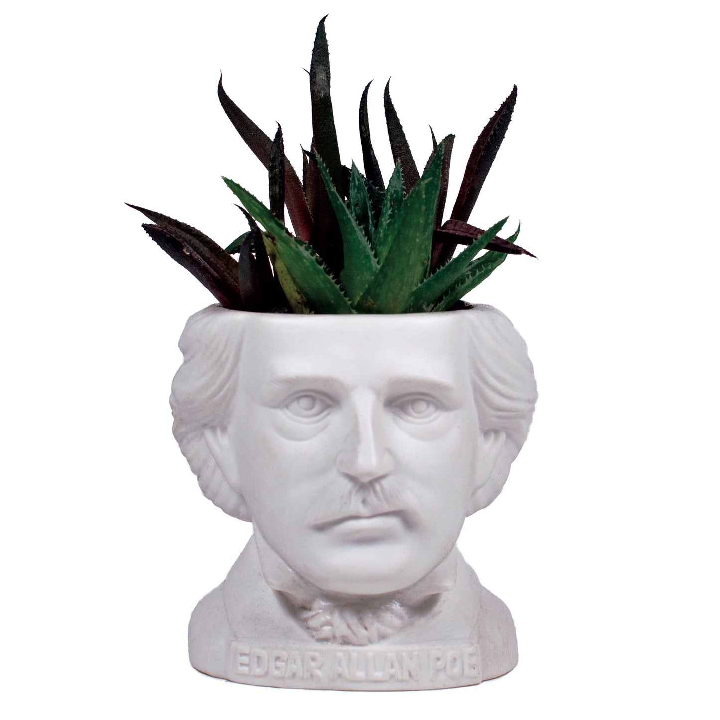 Edgar Allan Poe Mini Planter
