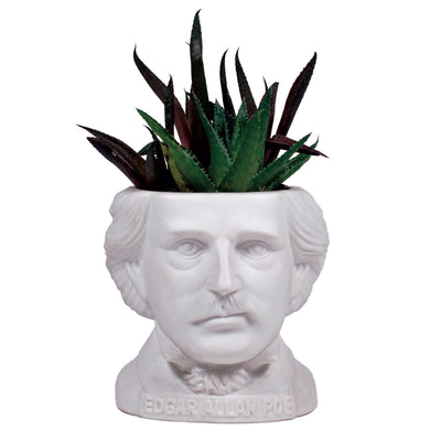 Edgar Allan Poe Mini Planter