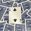 Blue One-Way Forcing Deck - 2 of Clubs