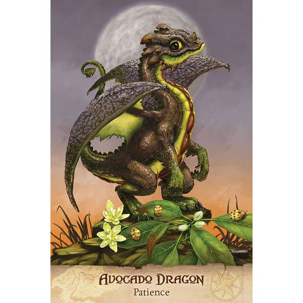Field Guide To Garden Dragons Cards