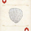 Fungi, Mushrooms & Lichens Playing Cards
