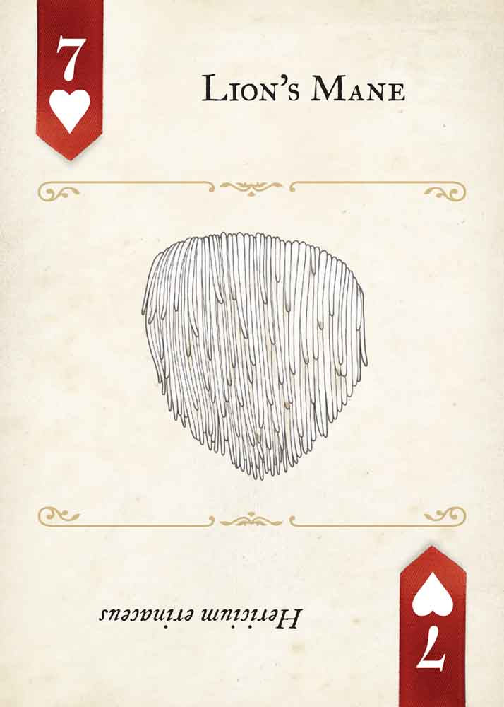 Fungi, Mushrooms & Lichens Playing Cards