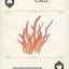 Fungi, Mushrooms & Lichens Playing Cards