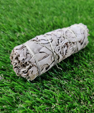 4" White Sage Smudge Stick