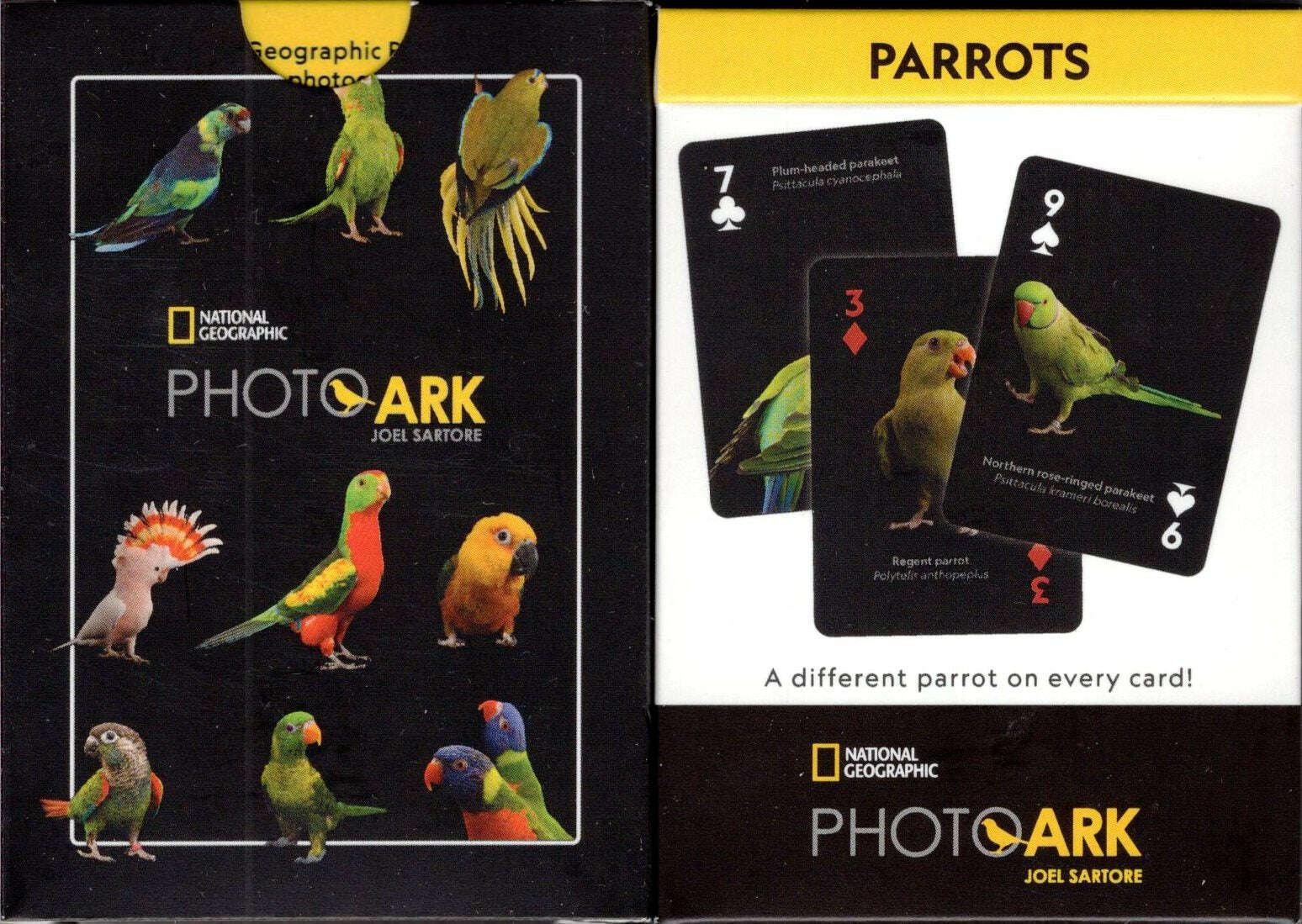 PlayingCardDecks.com-National Geographic Parrots Playing Cards NYPC