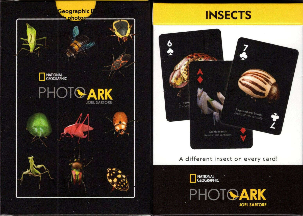Card Pointed Insects National Geographic Insects Playing Cards NYPC – PlayingCardDecks.com