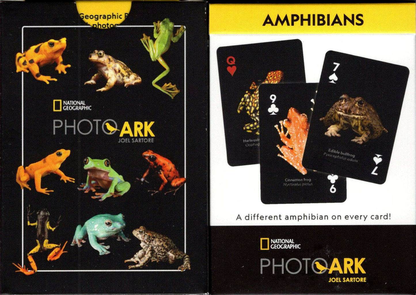 PlayingCardDecks.com-National Geographic Amphibians Playing Cards NYPC