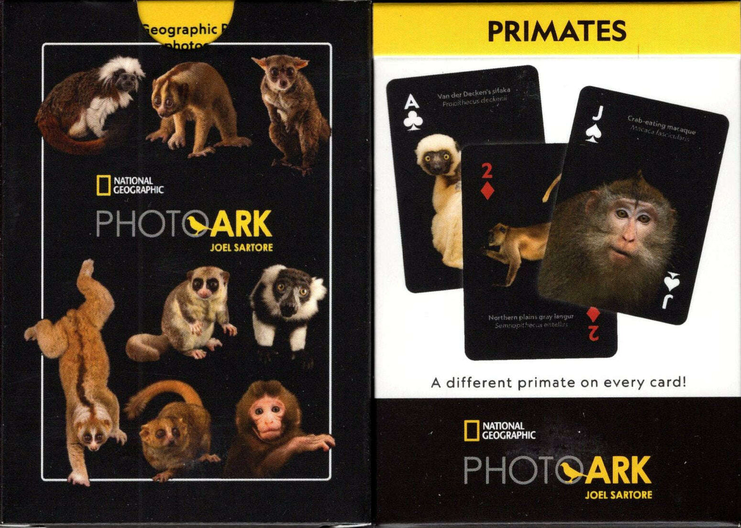 PlayingCardDecks.com-National Geographic Primates Playing Cards NYPC