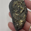 Pyrite on Shungite from Brazil