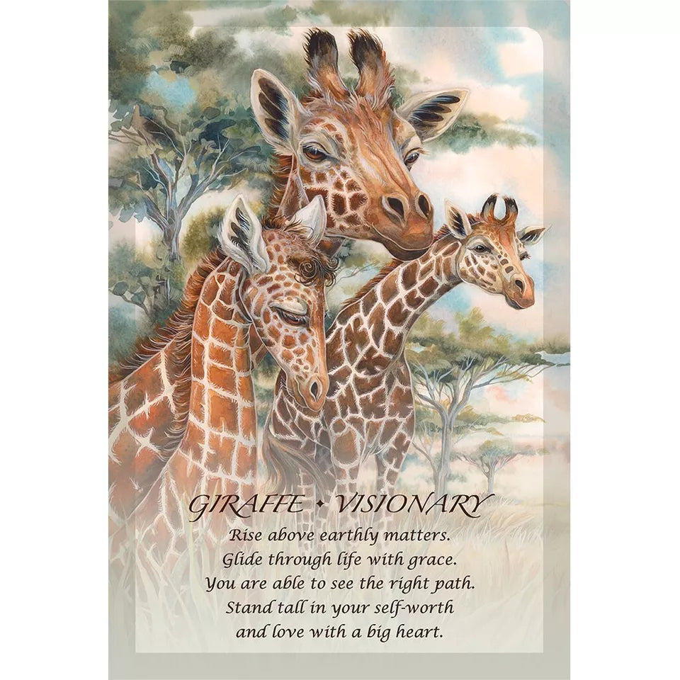 Spirit Of the Animals Oracle Cards