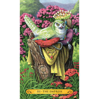 Tarot of the Owls Kit - Decks & Book Llewellyn