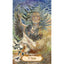 The Winged Enchantment Oracle Deck