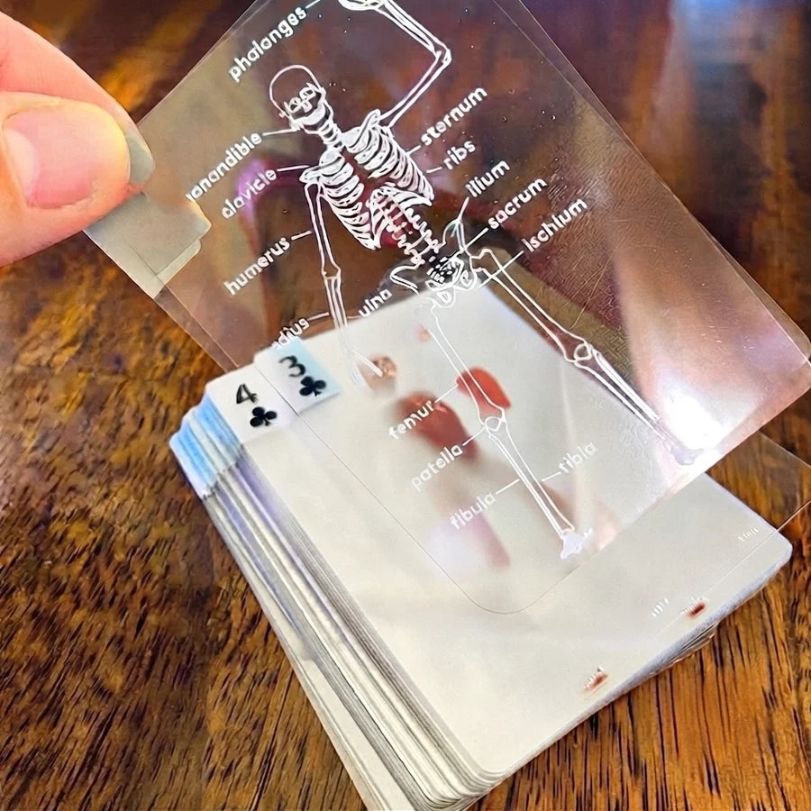The Body Deck - the Human Anatomy Playing Cards