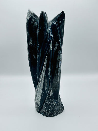 Polished Orthoceras Fossil – 9.5" Sculpture