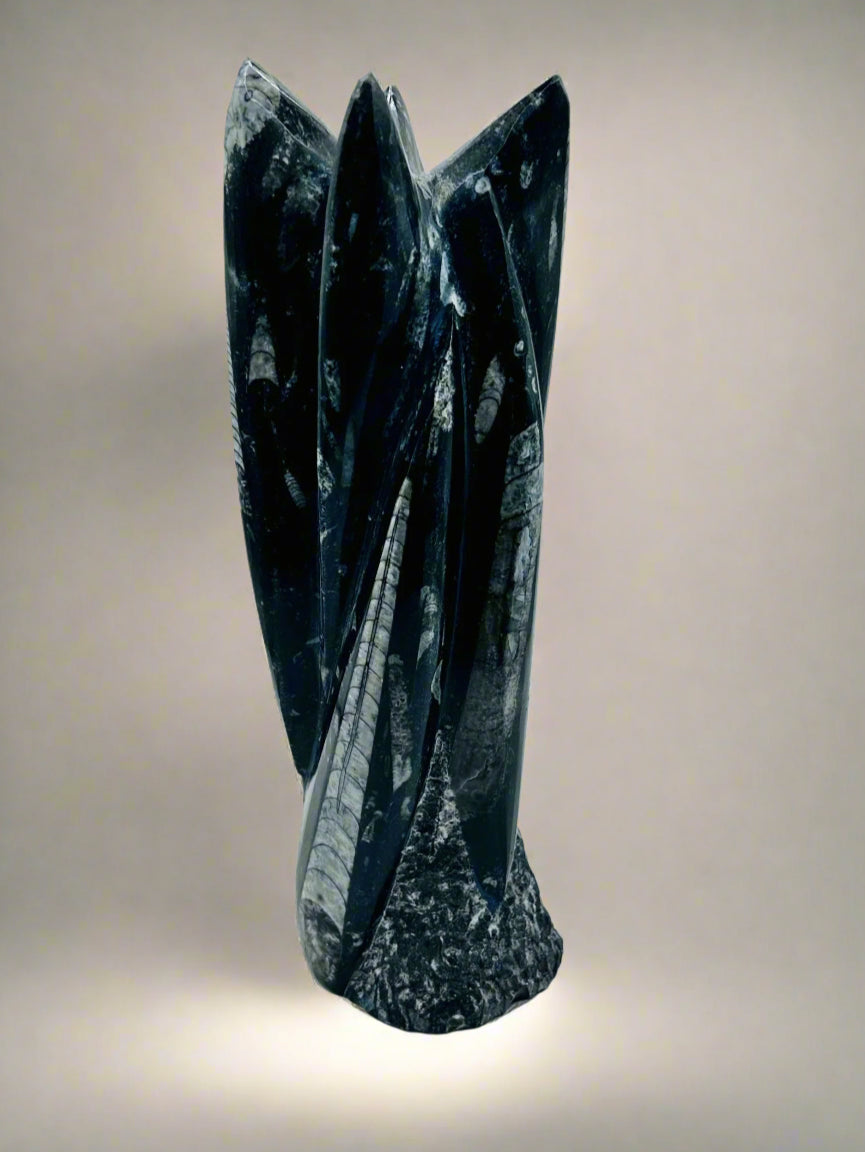 Polished Orthoceras Fossil – 9.5" Sculpture