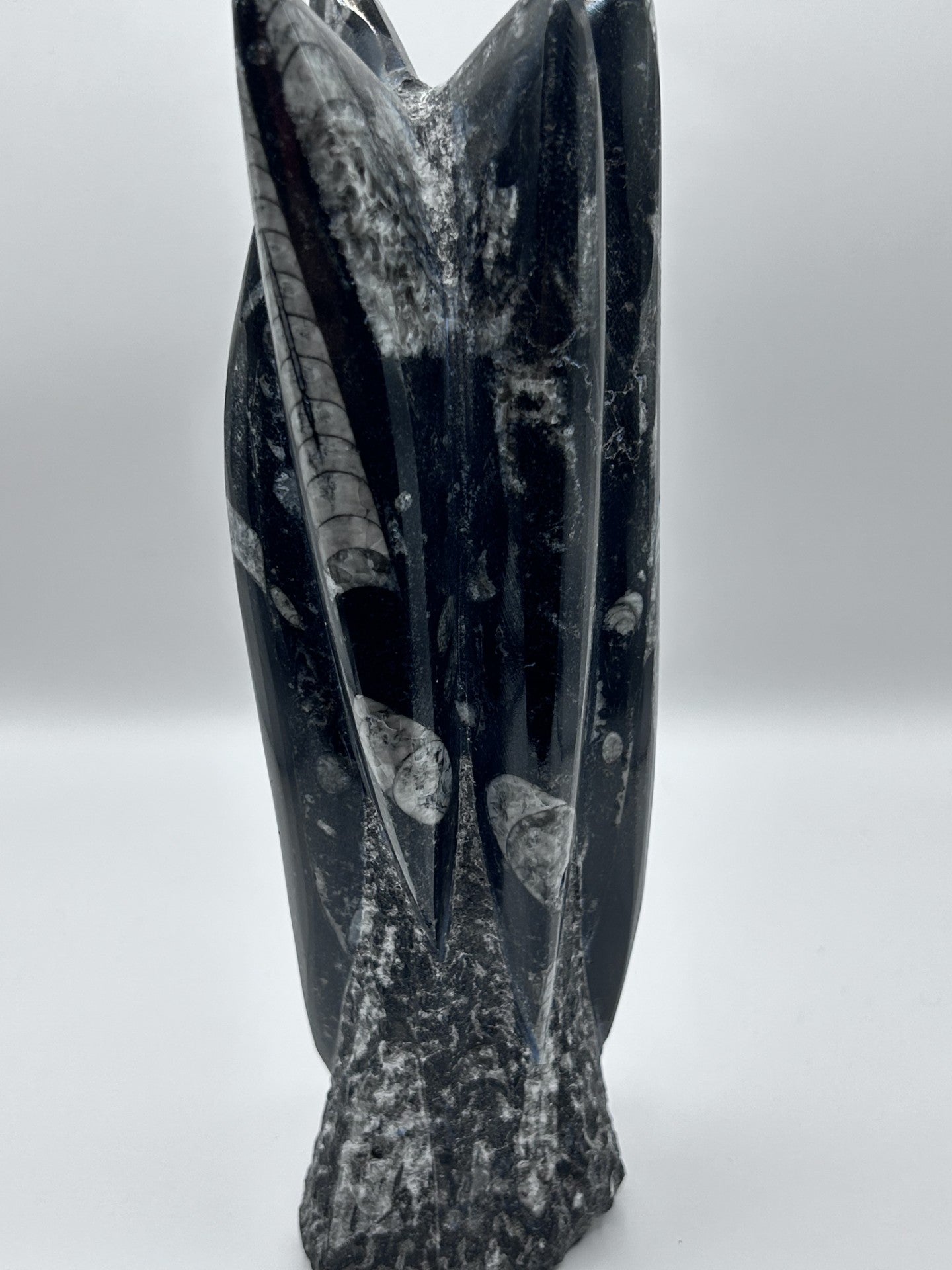 Polished Orthoceras Fossil – 9.5" Sculpture