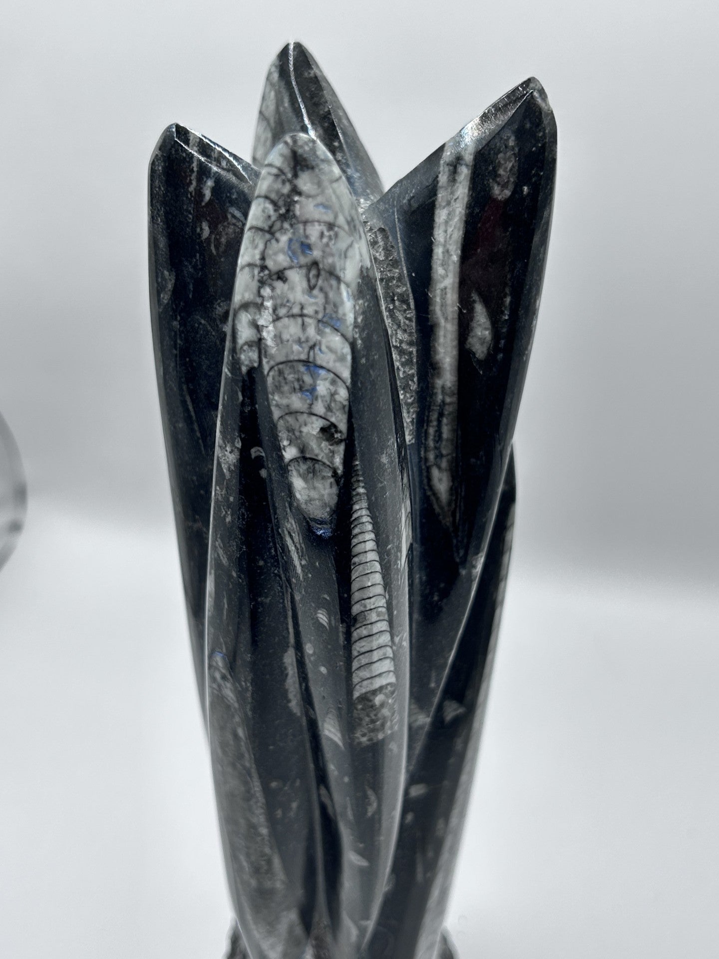 Polished Orthoceras Fossil – 9.5" Sculpture