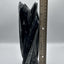 Polished Orthoceras Fossil – 9.5" Sculpture