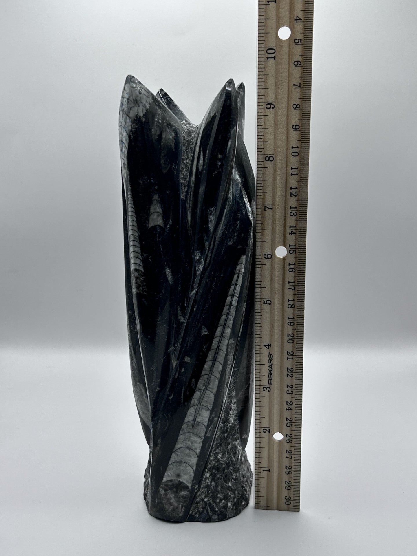 Polished Orthoceras Fossil – 9.5" Sculpture