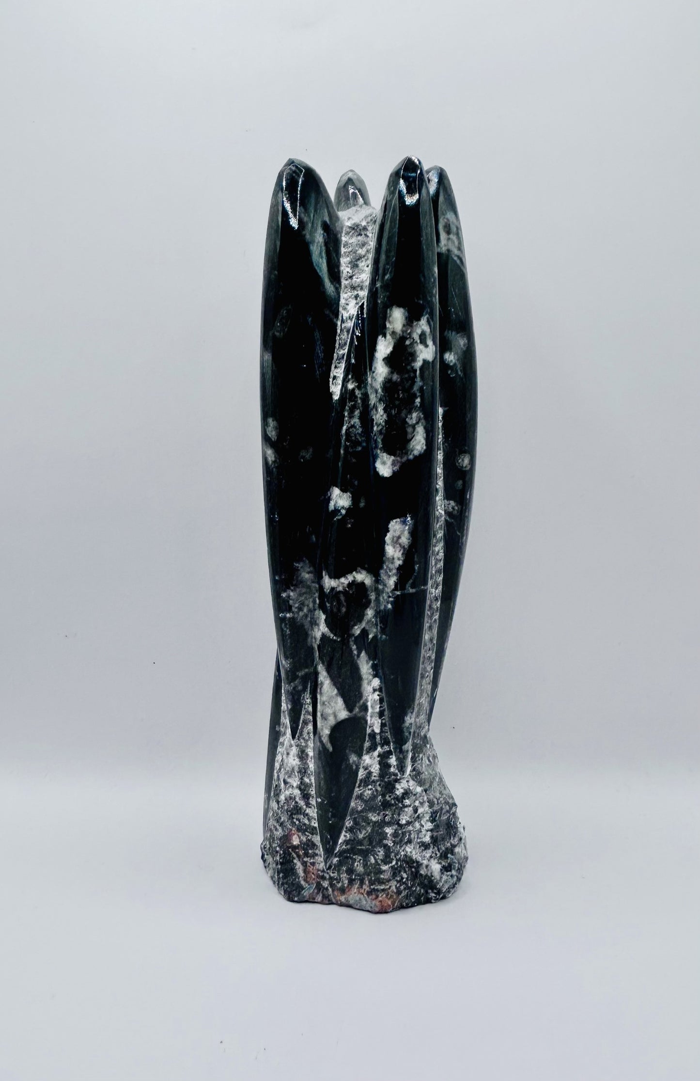 Polished Orthoceras Fossil – 9" Sculpture