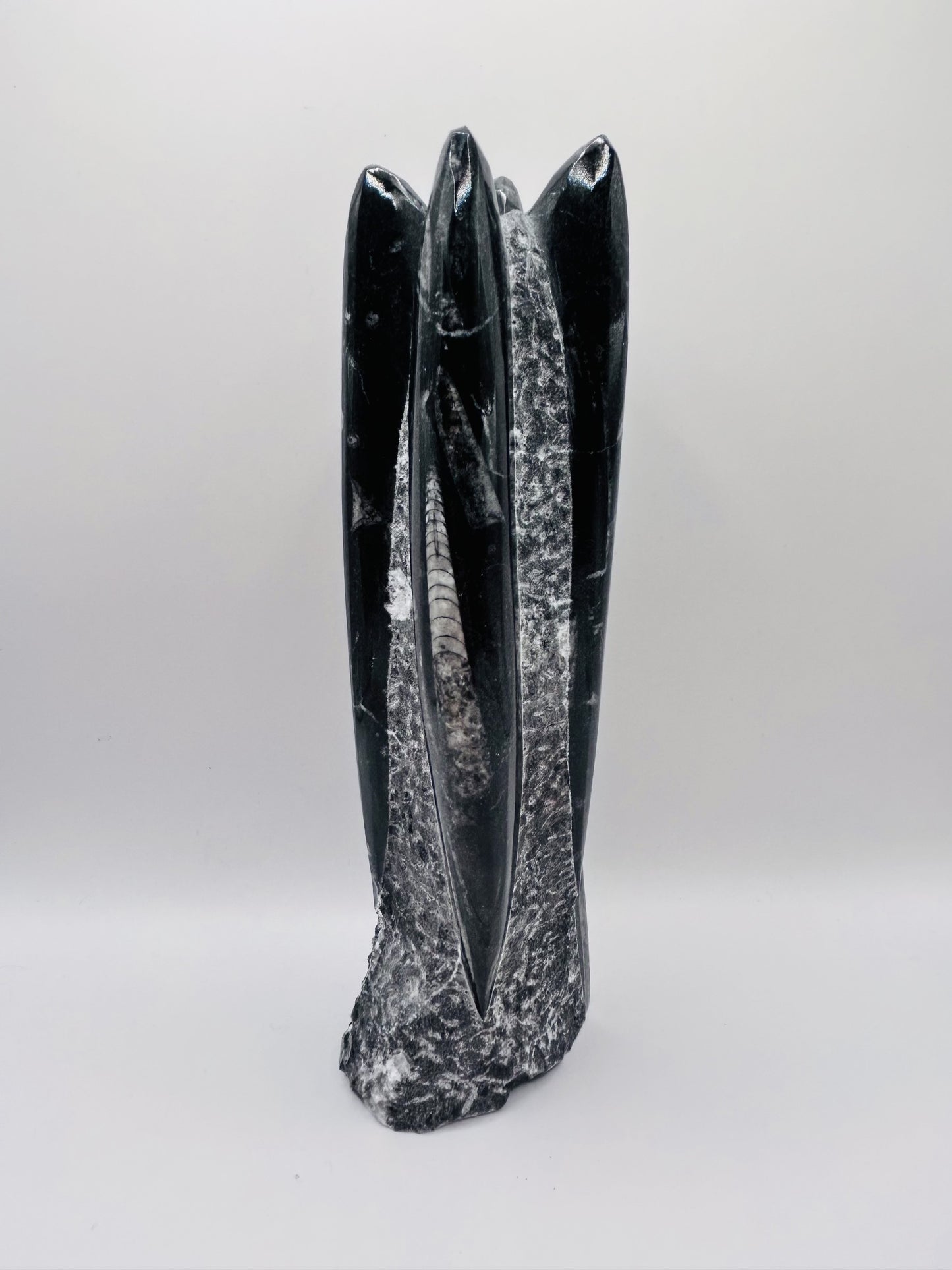 Polished Orthoceras Fossil – 9" Sculpture