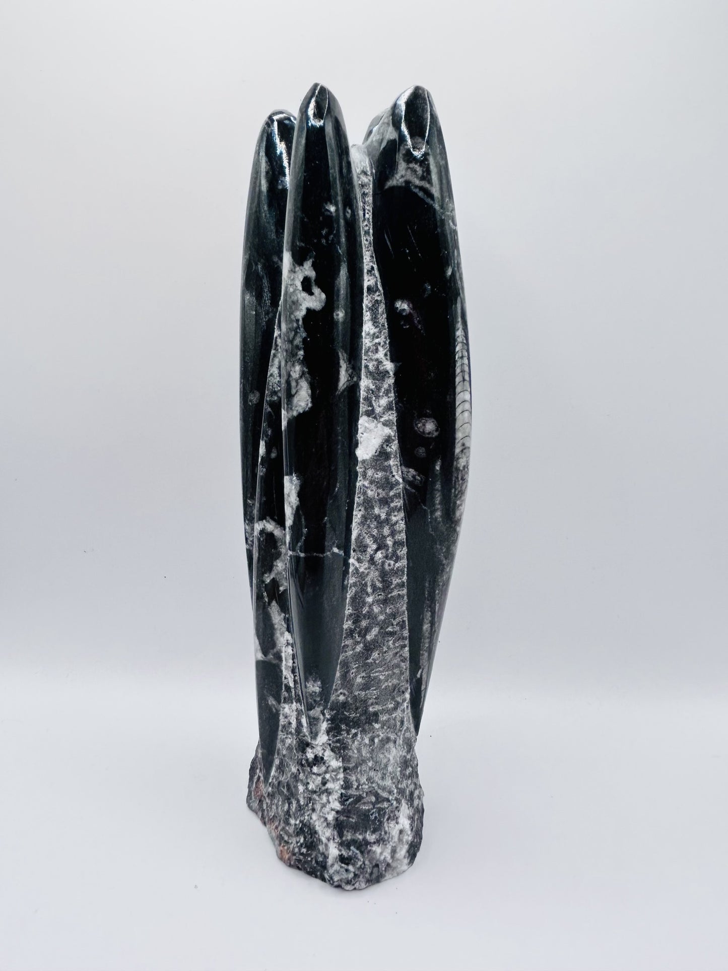 Polished Orthoceras Fossil – 9" Sculpture