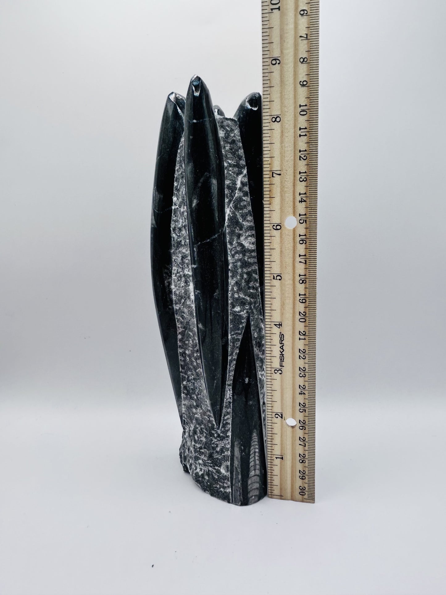Polished Orthoceras Fossil – 9" Sculpture