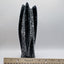 Polished Orthoceras Fossil – 9" Sculpture