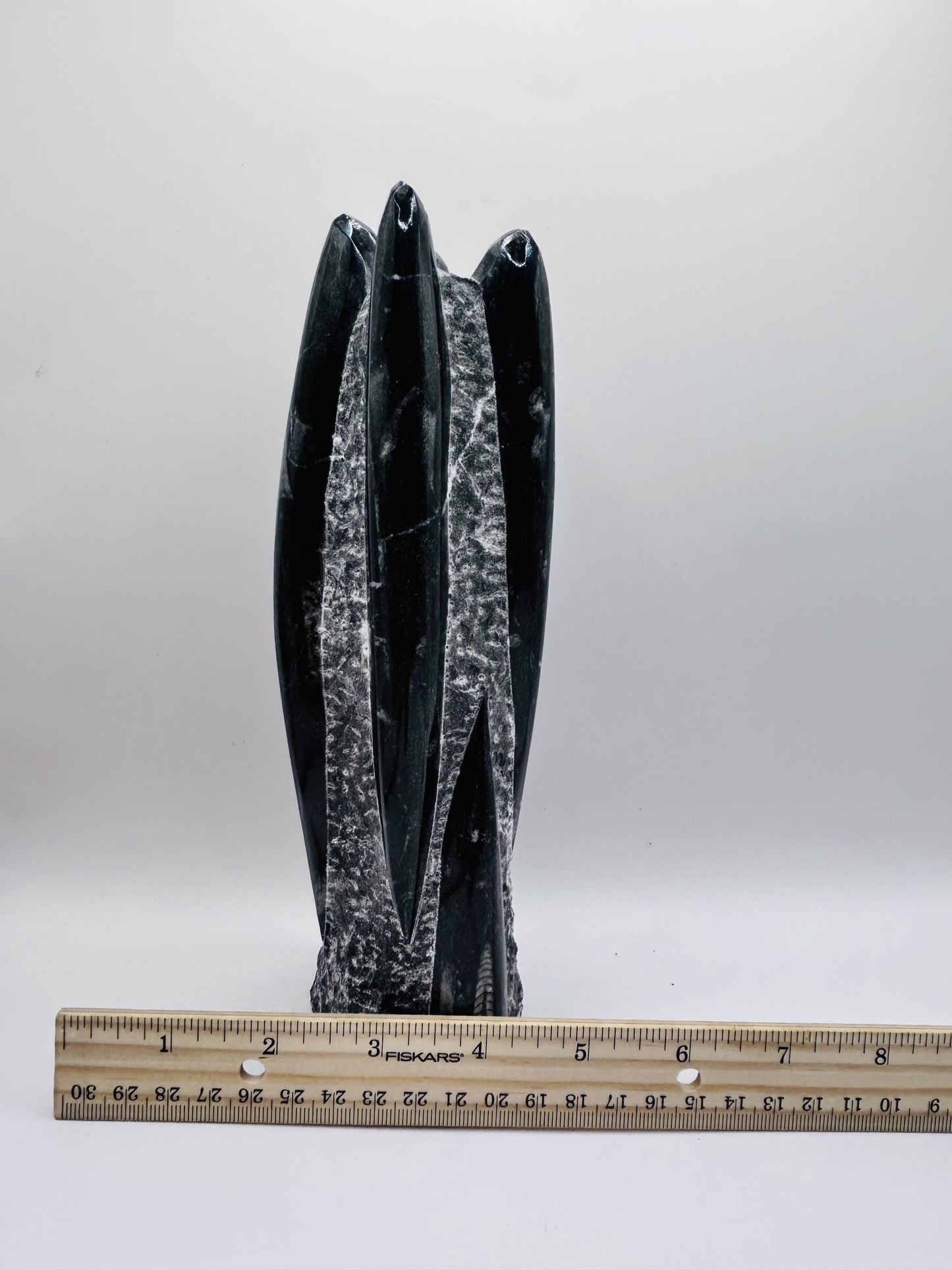 Polished Orthoceras Fossil – 9" Sculpture