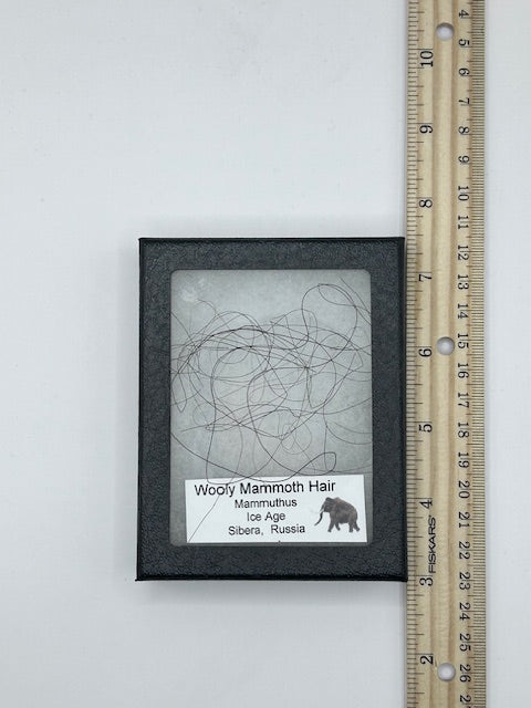 Wooly Mammoth Hair